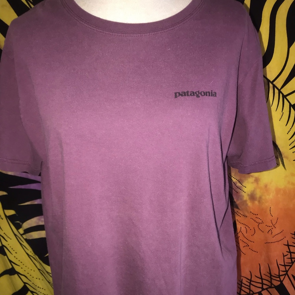 Patagonia T-shirt